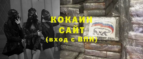 spice Богородицк