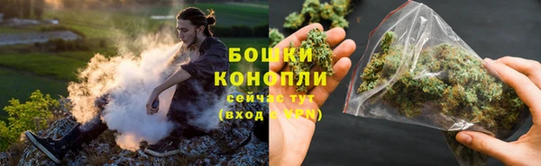 spice Богородицк