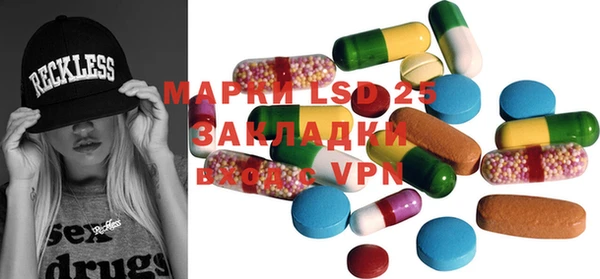 spice Богородицк