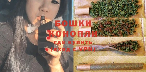 spice Богородицк