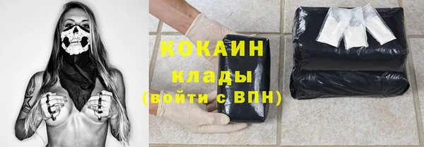 spice Богородицк