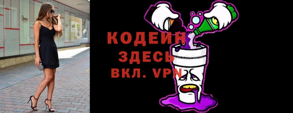 spice Богородицк