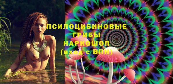 mix Белокуриха