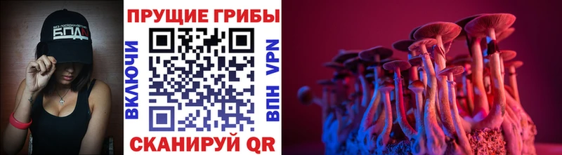 Псилоцибиновые грибы Psilocybine cubensis  Морозовск 