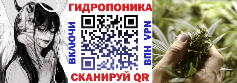 Бошки марихуана планчик  МЕГА ССЫЛКА  Морозовск 